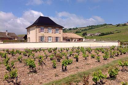 Holiday Rental in Beaujolais